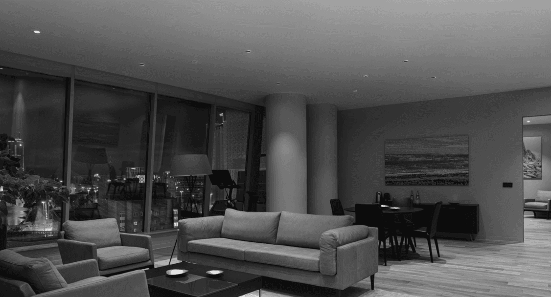 Ceiling Recessed COB Light