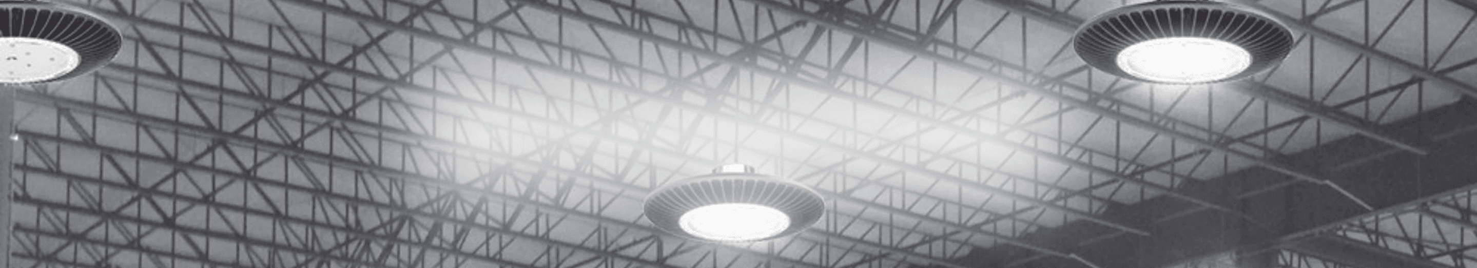 Ceiling Suspended Light